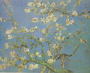 Vincent Van Gogh Blossoming Almond Tree (nn04) China oil painting reproduction